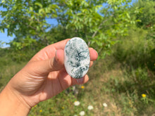 Charger l'image dans la galerie, VENDU Agate Arbre 5