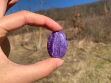 Charger l'image dans la galerie, Charoïte 6