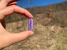 Charger l'image dans la galerie, Charoïte 13