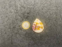 Charger l'image dans la galerie, Jaspe mookaite 7