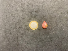 Charger l'image dans la galerie, VENDU Jaspe mookaite 31
