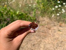 Charger l'image dans la galerie, VENDU Agate de Feu 3