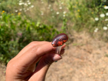 Charger l'image dans la galerie, VENDU Agate de Feu 5