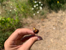 Charger l'image dans la galerie, VENDU Agate de Feu 11