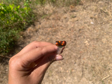 Charger l'image dans la galerie, VENDU Agate de Feu 12