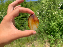 Charger l'image dans la galerie, Agate 5