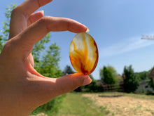 Charger l'image dans la galerie, Agate 5