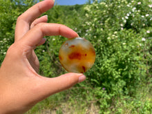 Charger l'image dans la galerie, Agate 6