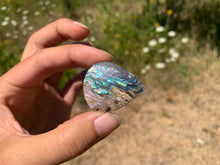 Charger l'image dans la galerie, VENDU Nacre / Abalone 27