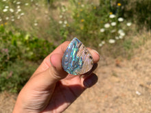 Charger l'image dans la galerie, VENDU Nacre / Abalone 27