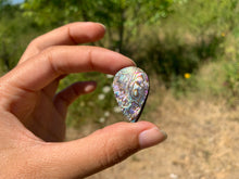 Charger l'image dans la galerie, VENDU Nacre / Abalone 33