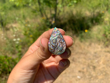 Charger l'image dans la galerie, VENDU Nacre / Abalone 33