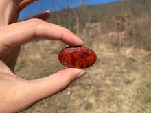 Charger l'image dans la galerie, VENDU Jaspe peau de serpent 1