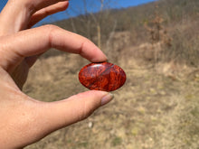 Charger l'image dans la galerie, VENDU Jaspe peau de serpent 1