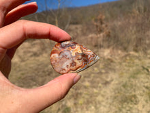 Charger l'image dans la galerie, VENDU Agate Crazy Lace 5