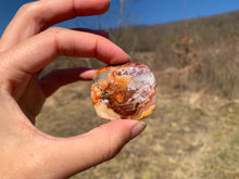 Charger l'image dans la galerie, VENDU Agate Crazy Lace 9