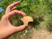 Charger l'image dans la galerie, Septaria 6