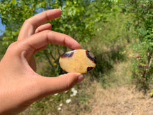 Charger l'image dans la galerie, Septaria 6