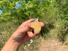 Charger l'image dans la galerie, Septaria 6