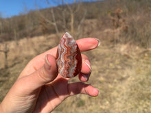 Charger l'image dans la galerie, VENDU Agate Crazy Lace 10