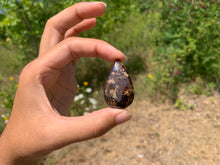 Charger l'image dans la galerie, VENDU Bronzite 3