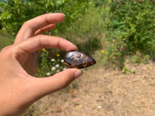 Charger l'image dans la galerie, VENDU Bronzite 3