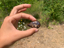 Charger l'image dans la galerie, VENDU Bronzite 3
