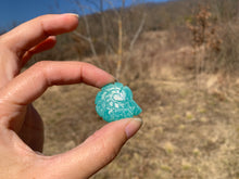 Charger l'image dans la galerie, VENDU Amazonite 10
