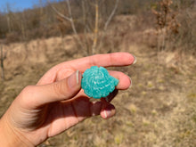 Charger l'image dans la galerie, VENDU Amazonite 10
