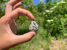 Charger l'image dans la galerie, VENDU Jaspe Dalmatien 2