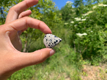 Charger l'image dans la galerie, VENDU Jaspe Dalmatien 2