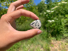 Charger l'image dans la galerie, VENDU Jaspe Dalmatien 2