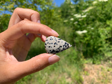 Charger l'image dans la galerie, VENDU Jaspe Dalmatien 6