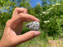 Charger l'image dans la galerie, VENDU Jaspe Dalmatien 6