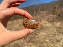 Charger l'image dans la galerie, Jaspe Mariam 8