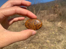 Charger l'image dans la galerie, Jaspe Mariam 8