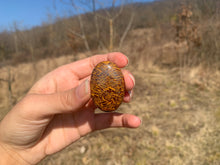 Charger l'image dans la galerie, Jaspe Mariam 8