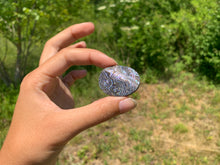 Charger l'image dans la galerie, VENDU Nacre / Abalone 24