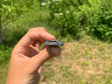 Charger l'image dans la galerie, VENDU Nacre / Abalone 24