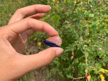 Charger l'image dans la galerie, VENDU Sodalite 8