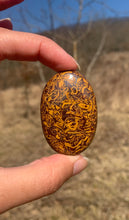 Charger l'image dans la galerie, Jaspe Mariam 6