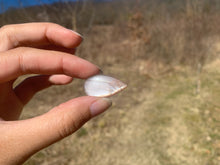 Charger l'image dans la galerie, VENDU Pierre de lune 16