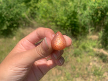 Charger l'image dans la galerie, VENDU Pierre de soleil 9