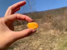 Charger l'image dans la galerie, VENDU Jaspe bumblebee 8