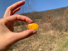 Charger l'image dans la galerie, VENDU Jaspe bumblebee 8