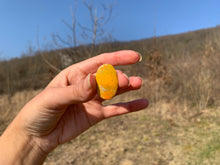 Charger l'image dans la galerie, VENDU Jaspe bumblebee 8