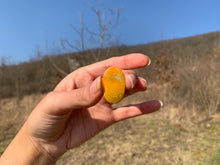 Charger l'image dans la galerie, VENDU Jaspe bumblebee 8