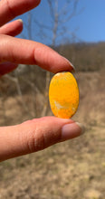 Charger l'image dans la galerie, VENDU Jaspe bumblebee 8