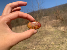 Charger l'image dans la galerie, Jaspe Noreena 14