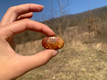 Charger l'image dans la galerie, Jaspe Noreena 14